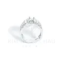 KNC02626 copy.webp