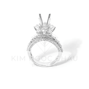 KNC03762 copy.webp