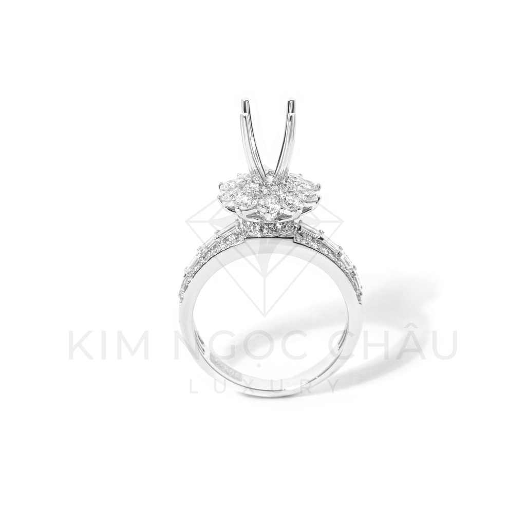 KNC0316 copy.webp