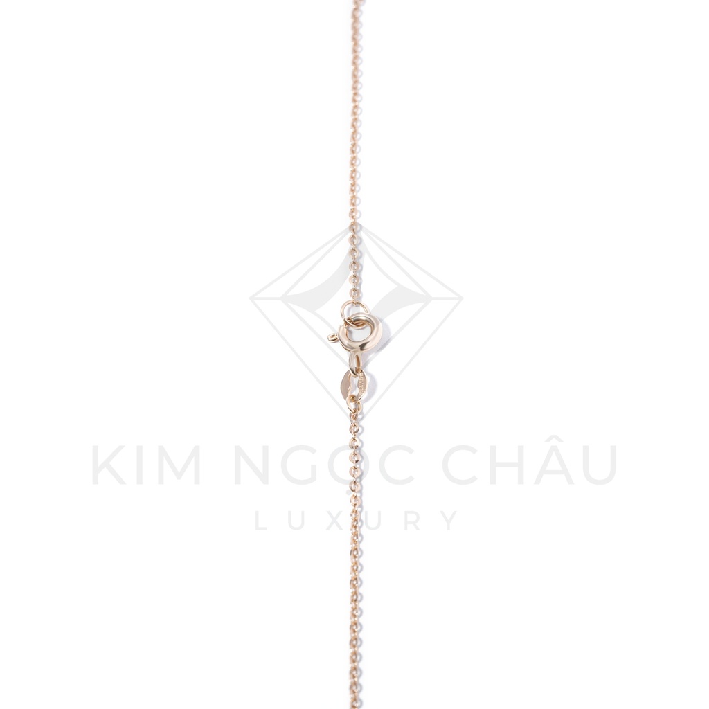 Dây chuyền DDC-05V