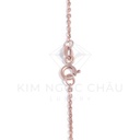 Dây chuyền DDC-160